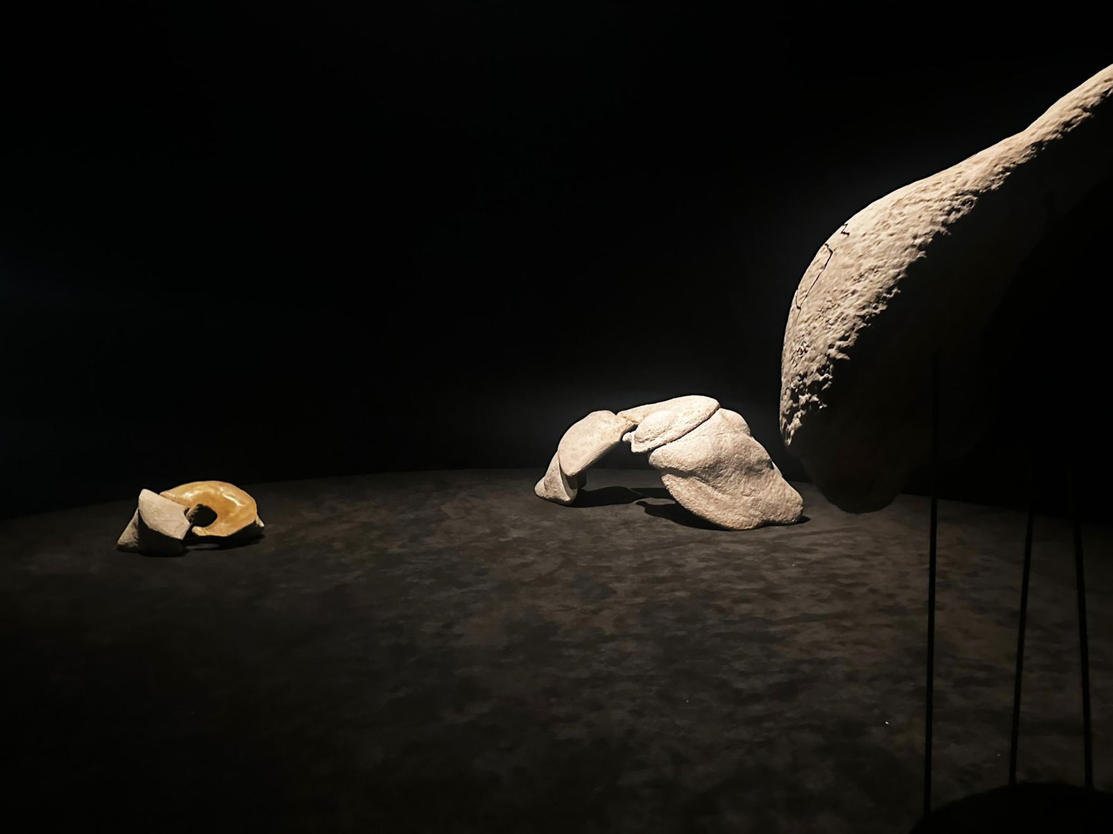 Depth_Busan_Biennale_Installation2026