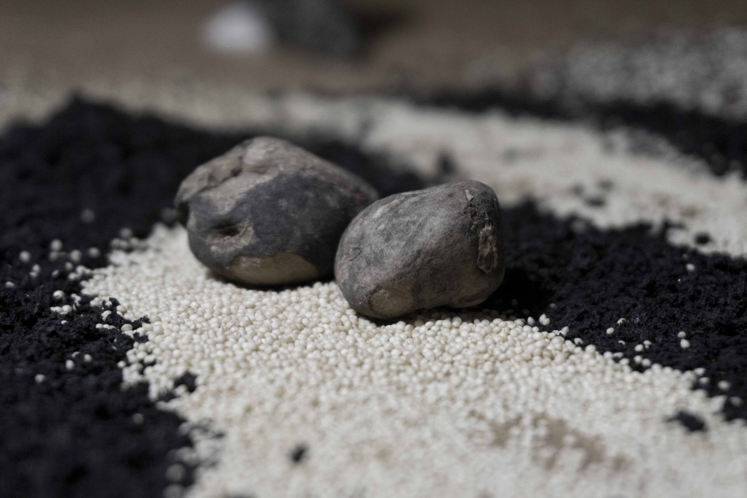 Rare_Earths_Guely_Morató_Delfina_Foundation_2025