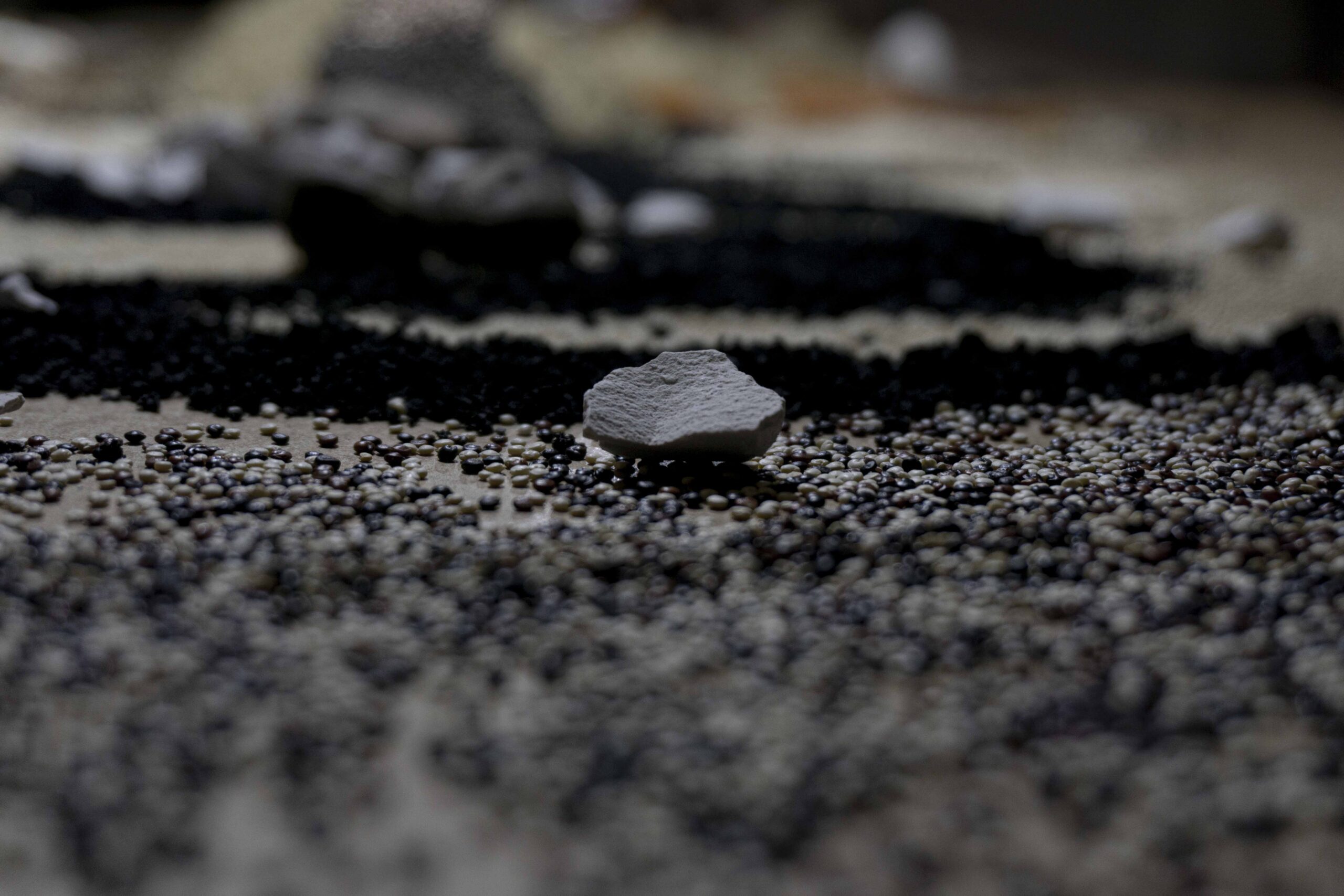 Rare_Earths_Guely_Morató_Delfina_Foundation_2025