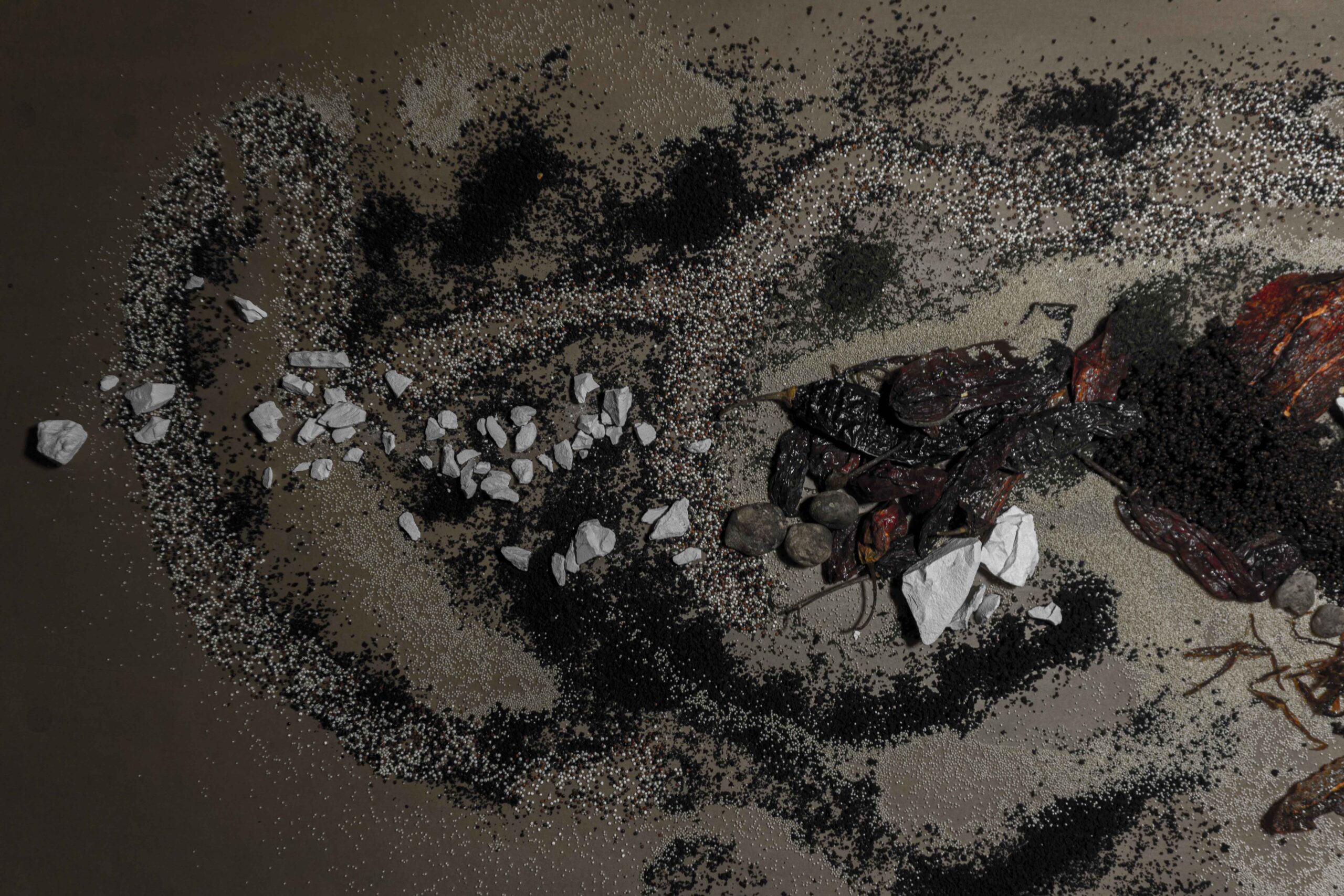 Rare_Earths_Guely_Morató_Delfina_Foundation_2025